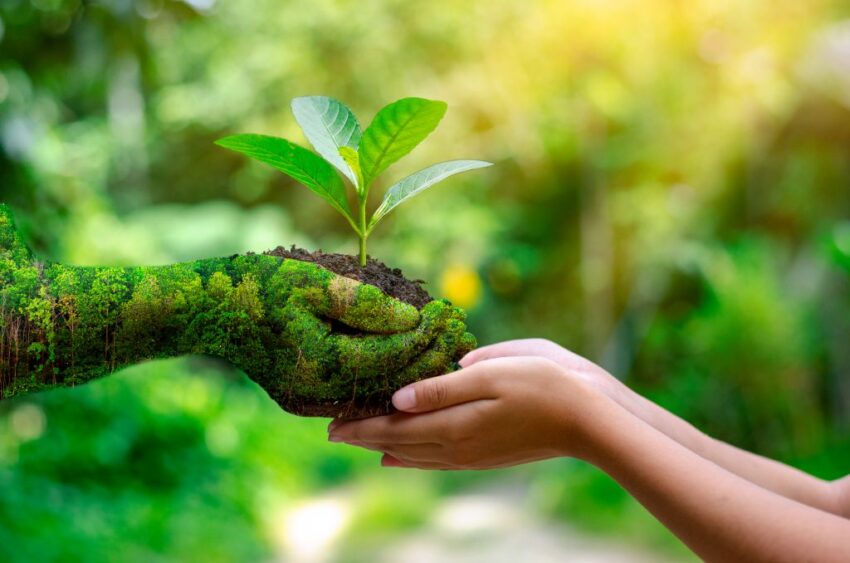 Eco-Friendly și Sănătos: Cum să Alegi Produsele de Îngrijire Personală
